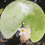 Ayesha Moss - @ayelovecake - Instagram