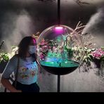 Ayesha Quadri - Facebook