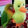 Ayesha Quadri - @ayeshaquadri9 - TikTok
