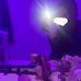 Ayla King - Facebook