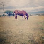 Aylin Jimenez Mendoza - @aylinjimenezmendoza - Instagram