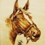 @ayman_ahmad_ - Instagram