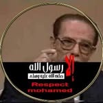 Ayman Aly - @aymanaly806 - Instagram