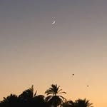Ayman Aly - @aymanaly640 - Instagram