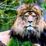 Ayman Aly - @ayman_aly3 - Instagram
