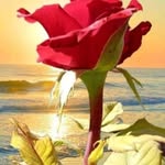 Ayman_fatima - @ayman_fatima9 - Instagram