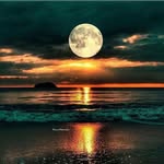 Ayman Fayed - @ayman_fayed76 - Instagram