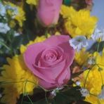 Ayme Flores Flores - Facebook