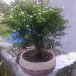 Ayme Flores Flores - @aymefloresflores - Instagram