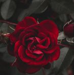 Ayme Gómez - Facebook