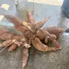 Ayme Silvana - @ayme.silvana3 - TikTok