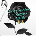 Aymee Hernandez - @aymee.hernandez.336 - Instagram
