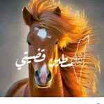Ayman Abdallah - @aymen.abdalla.56 - Instagram