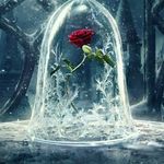 Aymen Ahmad - @aymenahmad8 - Instagram