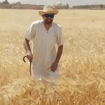 Aymen Atallah - @aymenoughlou - Instagram