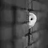 Aymen Bashir - @aymenbashir4 - TikTok