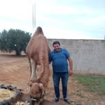 Aymen Ismail - @aymenismail11 - Instagram