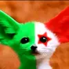 aymen - @aymen.djaber3 - TikTok