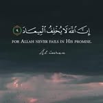 ايمن يوسف - @aymen_yusuf68 - Instagram