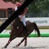 Aymeric Rousseau - @aymericrousseau - TikTok