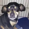 aynleegamble - @aynleegamble14 - TikTok