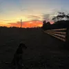 Aynslee Hayman - @aynslee.hayman - TikTok