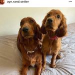 Ayn & Rand 🌸 - @ayn.rand.setter - Instagram