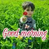 Aynul Ali - @aynulali - TikTok