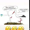 Aynura Bazarbaeva - @aynura.bazarbaeva - TikTok
