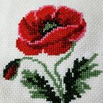 aynur mutlu - @aynurmutlu146 - Instagram