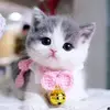 Aynur Nahar - @_muntaha6 - TikTok