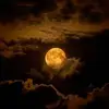 Aynkck - @aynurkocak14 - TikTok
