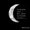 lale - @aynurocakverdyev - TikTok