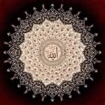 Aynur Yücel - @aynur.yucel.501 - Instagram