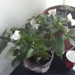 Aynur Yüceler - @aynur.yuceler - Instagram
