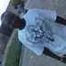 Ayo Adefila - Facebook