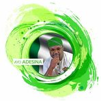 Hon. Ayo Adesina - Facebook