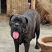 Ayo bello - Facebook