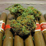 Ayo Hullett - @doggbizzness - Instagram