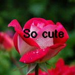 Ayo Ibrahim - Facebook
