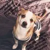 martinezmartinezayo - @martinezmartinezayo - TikTok