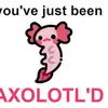 Brynn Watson112 - @axolotleamy - TikTok
