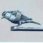 ayodeji bakare - @ayodeji844 - Instagram