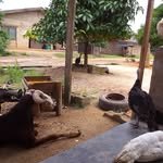 Ayodeji Jamiu Bakare - @ayodejijamiubakare - Instagram