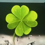 Ayub ahmed - @ayubahmed30 - Instagram