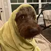 ayub - @ayubahmed.1 - TikTok