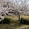 寺田アユミ Terada Ayumi - @.terada.ayumi - TikTok