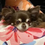 Ayumi Terada - @ayu__219 - Instagram