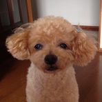 Ayumi Terada - Facebook