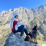 Ayush Shah - @ayush_shah_6350 - Instagram